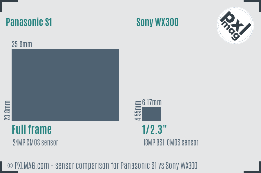 Panasonic S1 vs Sony WX300 sensor size comparison