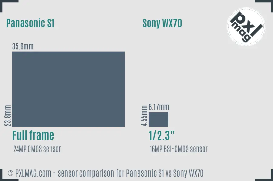 Panasonic S1 vs Sony WX70 sensor size comparison