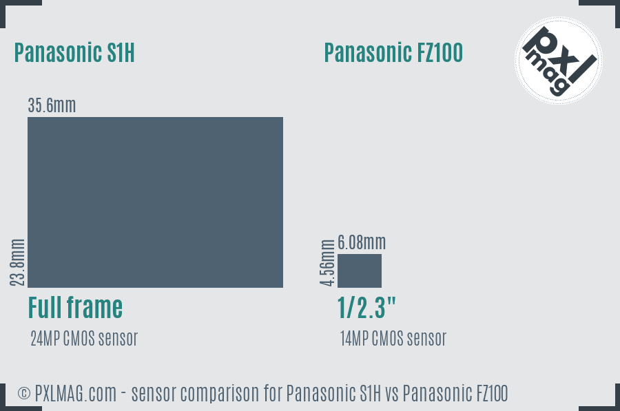 Panasonic S1H vs Panasonic FZ100 sensor size comparison