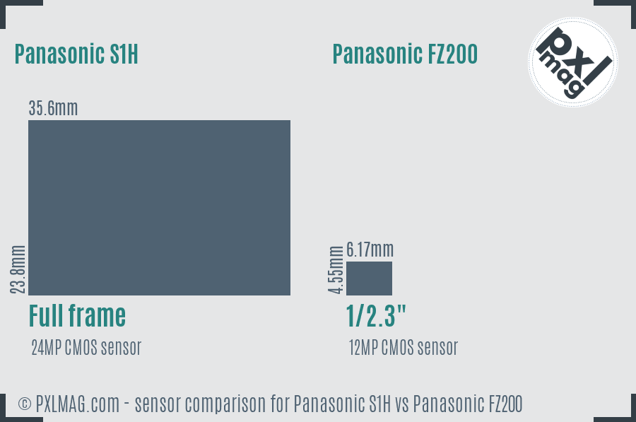 Panasonic S1H vs Panasonic FZ200 sensor size comparison