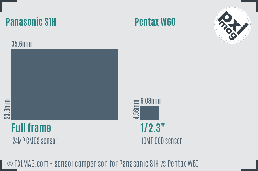 Panasonic S1H vs Pentax W60 sensor size comparison