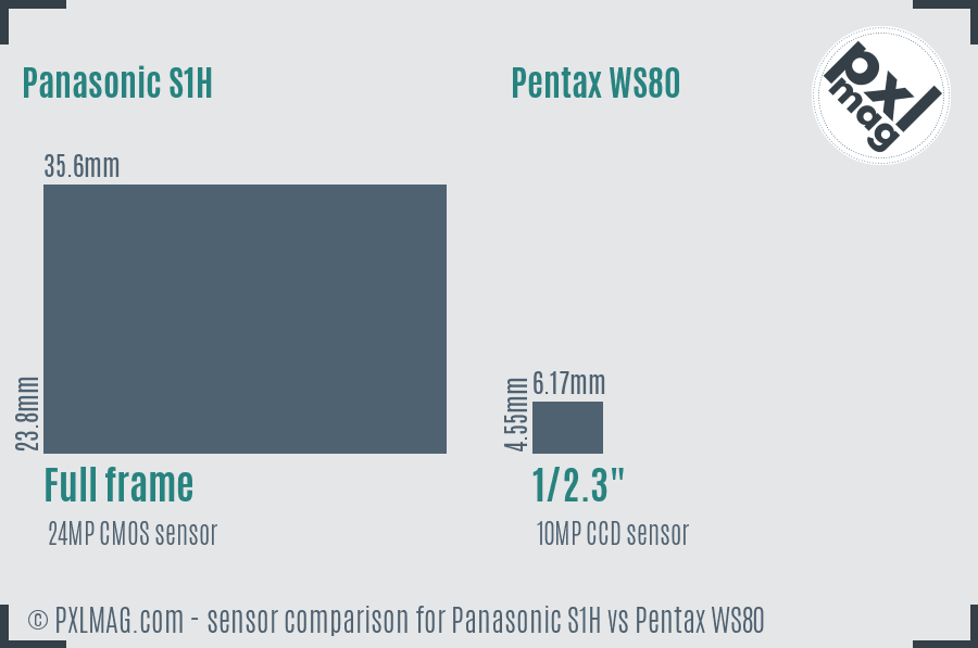 Panasonic S1H vs Pentax WS80 sensor size comparison