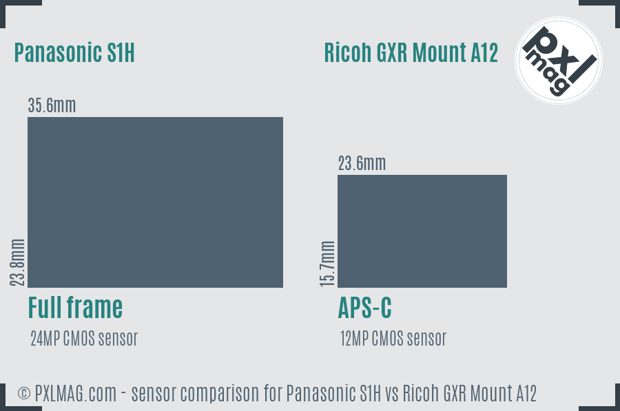 Panasonic S1H vs Ricoh GXR Mount A12 sensor size comparison