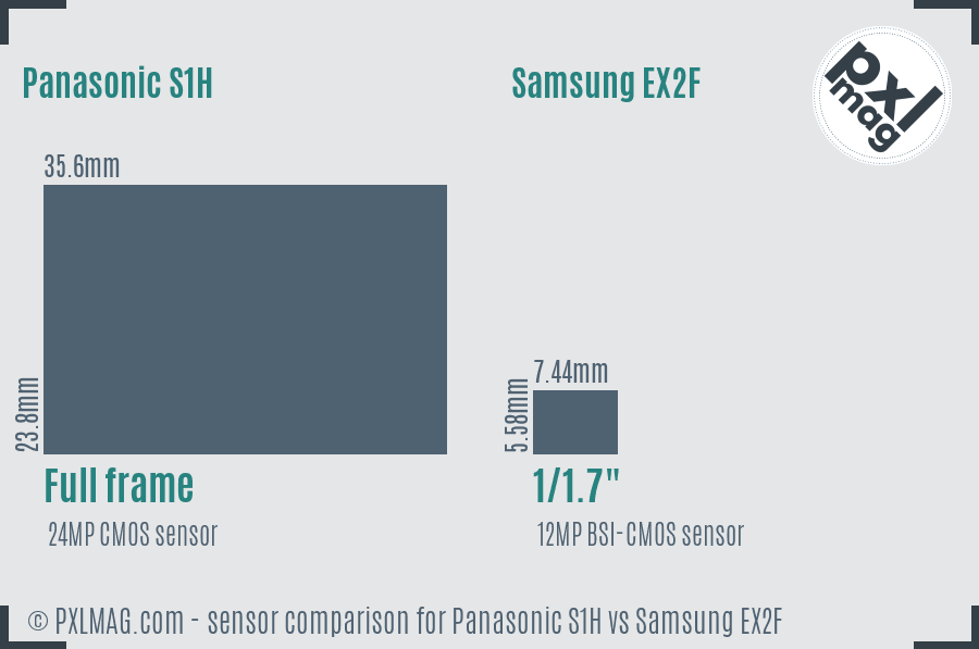 Panasonic S1H vs Samsung EX2F sensor size comparison