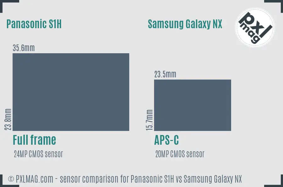 Panasonic S1H vs Samsung Galaxy NX sensor size comparison