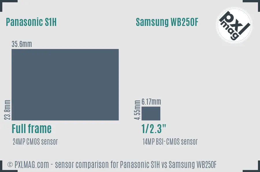Panasonic S1H vs Samsung WB250F sensor size comparison