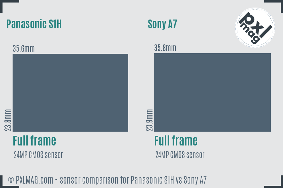 Panasonic S1H vs Sony A7 sensor size comparison