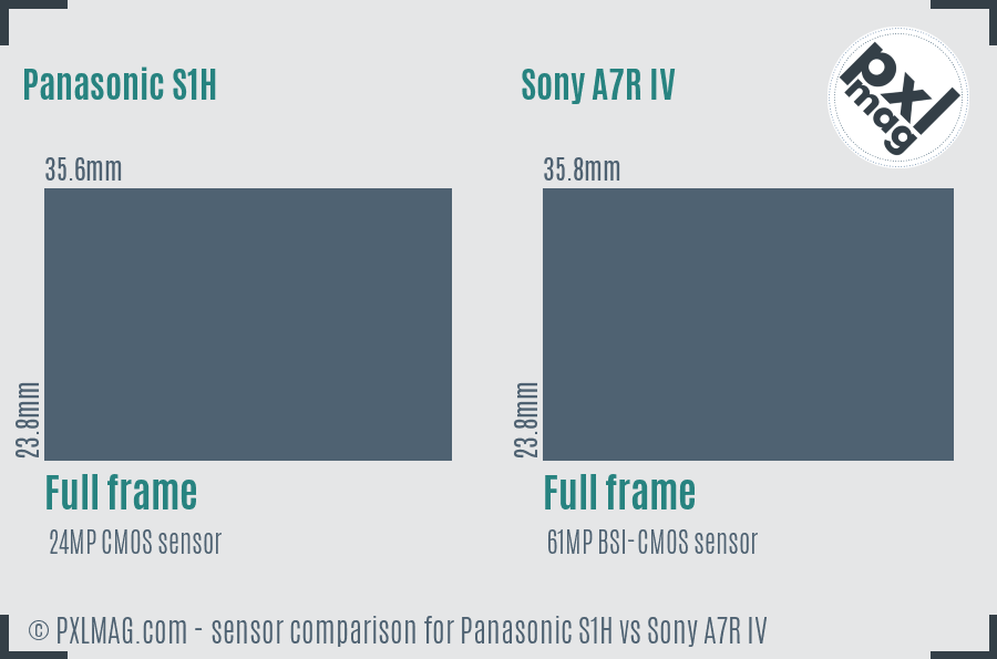 Panasonic S1H vs Sony A7R IV sensor size comparison