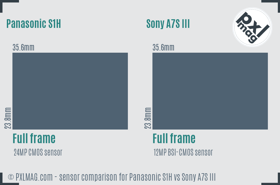 Panasonic S1H vs Sony A7S III sensor size comparison