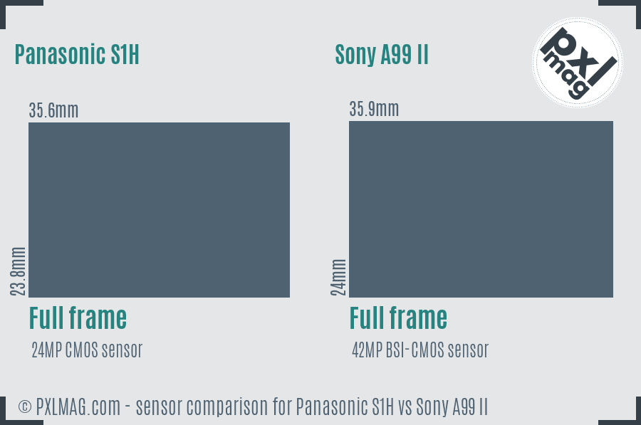 Panasonic S1H vs Sony A99 II sensor size comparison