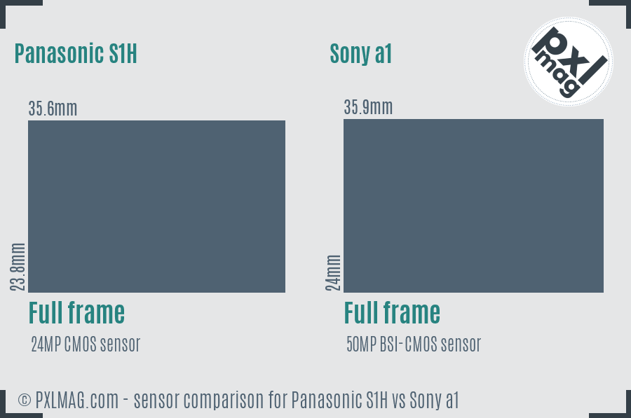 Panasonic S1H vs Sony a1 sensor size comparison