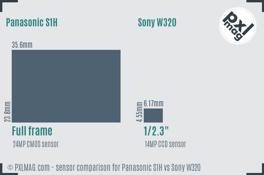 Panasonic S1H vs Sony W320 sensor size comparison