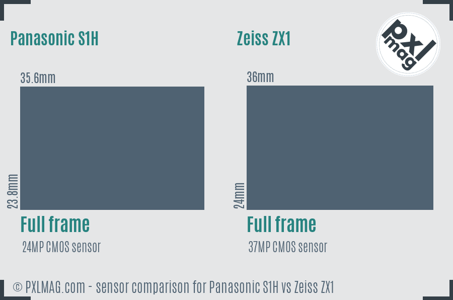 Panasonic S1H vs Zeiss ZX1 sensor size comparison