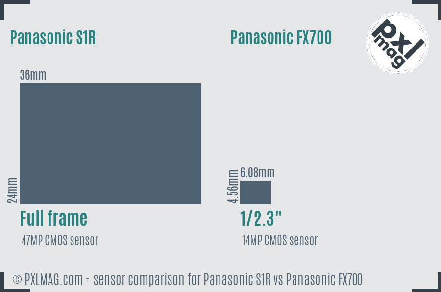 Panasonic S1R vs Panasonic FX700 sensor size comparison