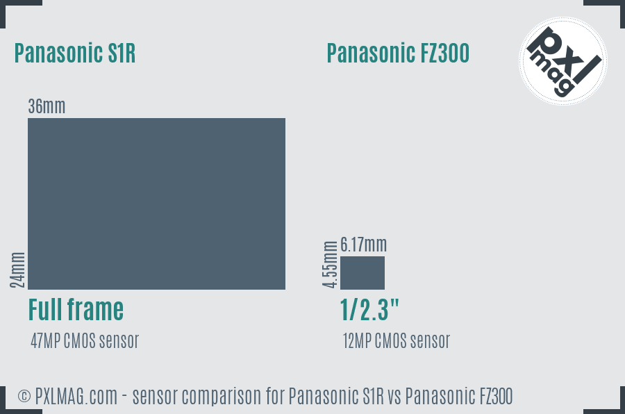 Panasonic S1R vs Panasonic FZ300 sensor size comparison