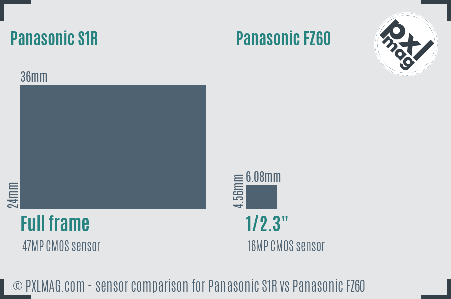 Panasonic S1R vs Panasonic FZ60 sensor size comparison