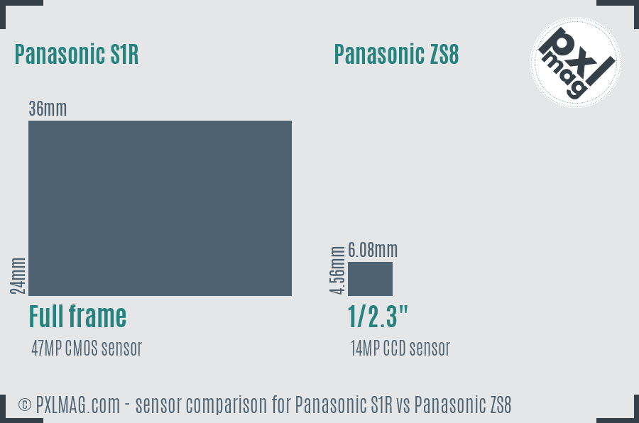 Panasonic S1R vs Panasonic ZS8 sensor size comparison
