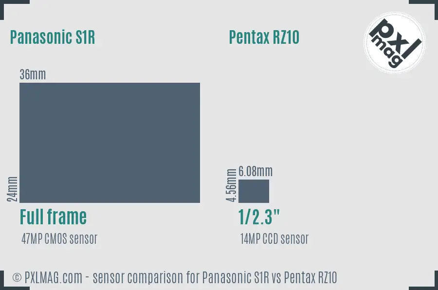 Panasonic S1R vs Pentax RZ10 sensor size comparison