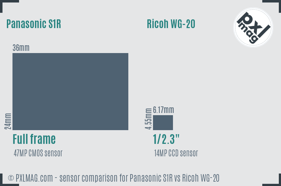 Panasonic S1R vs Ricoh WG-20 sensor size comparison