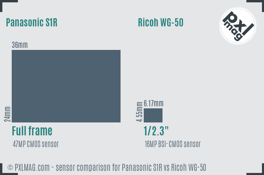 Panasonic S1R vs Ricoh WG-50 sensor size comparison