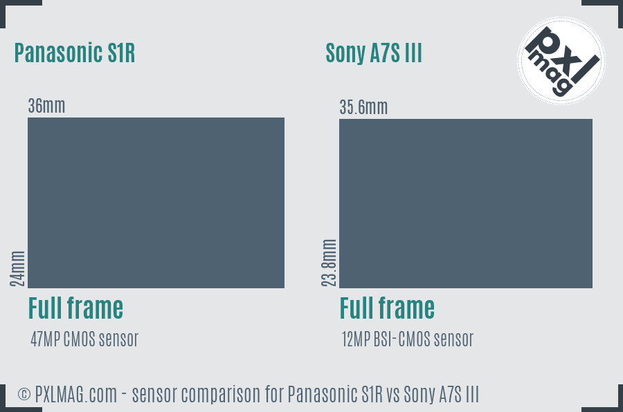 Panasonic S1R vs Sony A7S III sensor size comparison