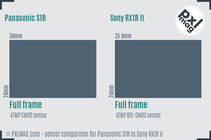 Panasonic S1R vs Sony RX1R II sensor size comparison Panasonic S1R vs Sony RX1R II sensor size comparison