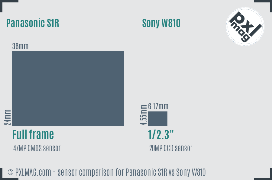 Panasonic S1R vs Sony W810 sensor size comparison