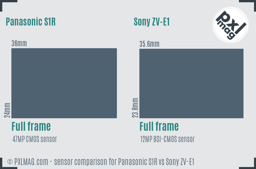 Panasonic S1R vs Sony ZV-E1 sensor size comparison