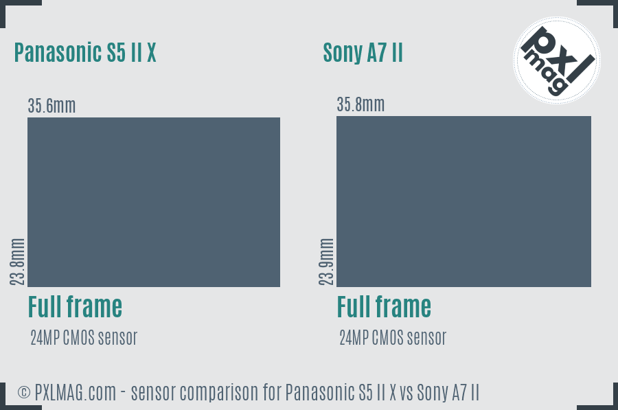 Panasonic S5 II X vs Sony A7 II sensor size comparison