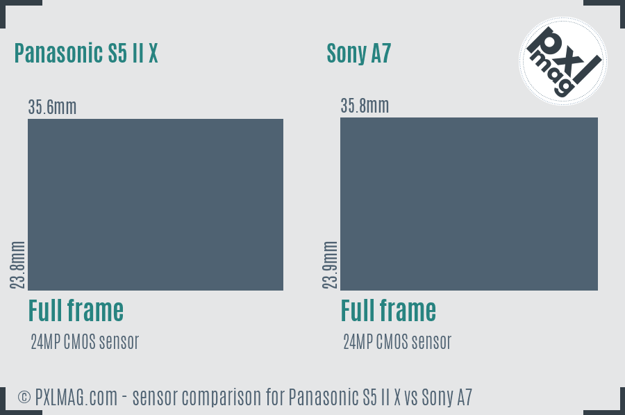 Panasonic S5 II X vs Sony A7 sensor size comparison