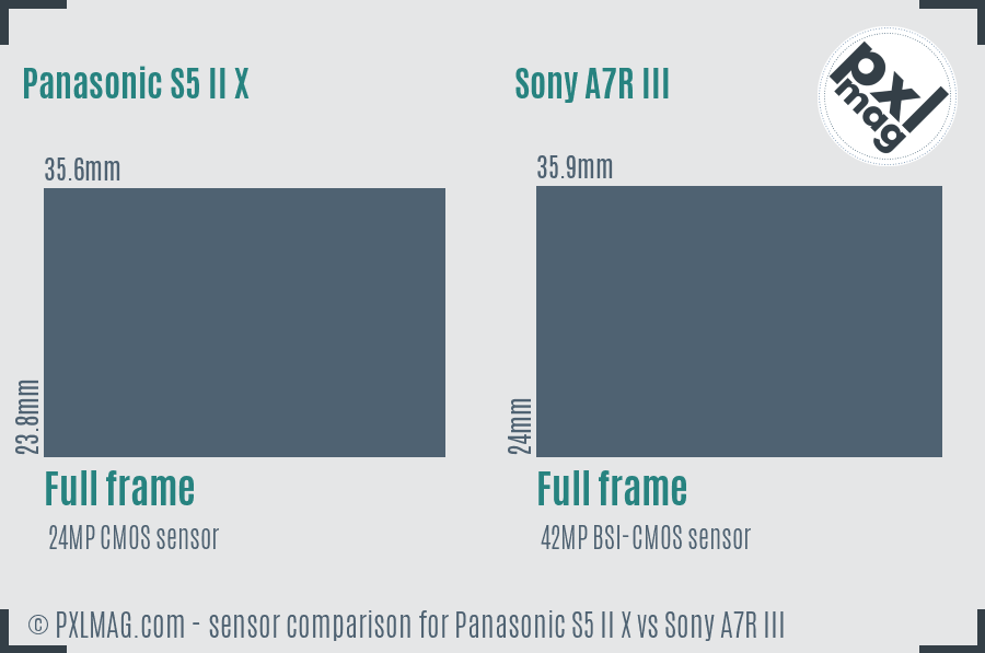 Panasonic S5 II X vs Sony A7R III sensor size comparison