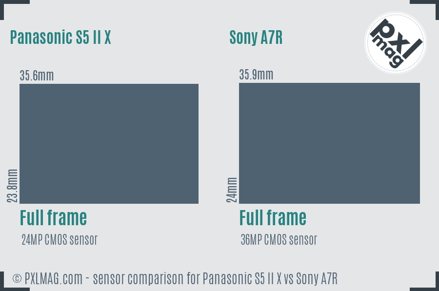 Panasonic S5 II X vs Sony A7R sensor size comparison