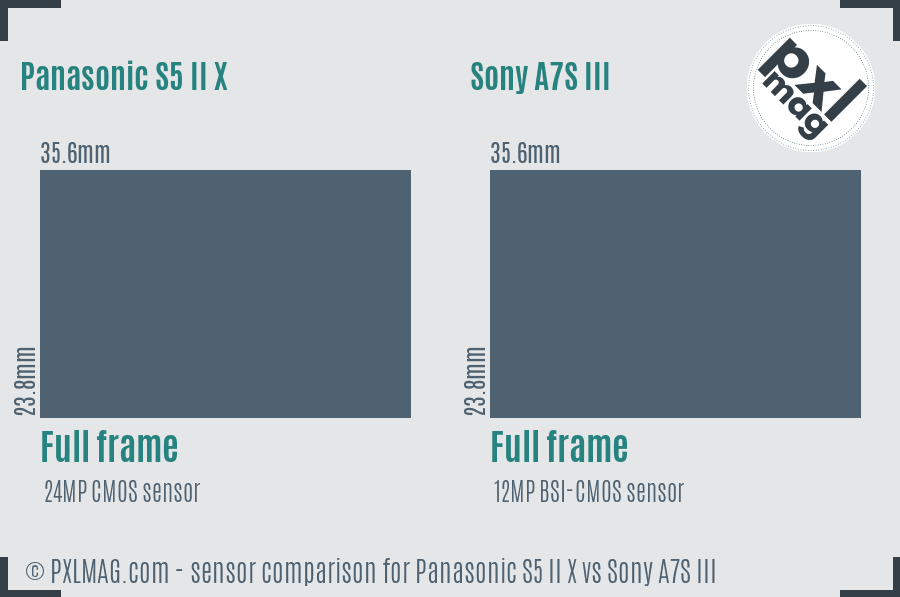 Panasonic S5 II X vs Sony A7S III sensor size comparison