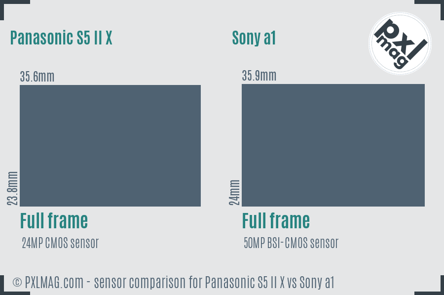 Panasonic S5 II X vs Sony a1 sensor size comparison