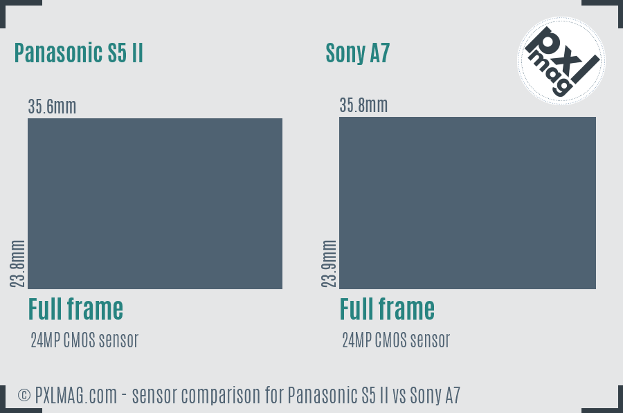 Panasonic S5 II vs Sony A7 sensor size comparison