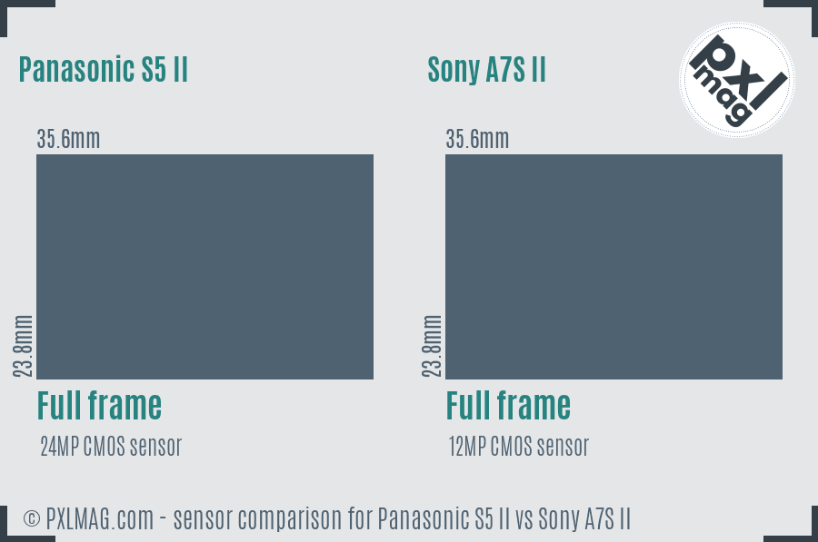 Panasonic S5 II vs Sony A7S II sensor size comparison