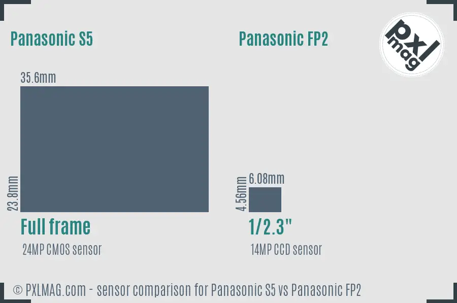 Panasonic S5 vs Panasonic FP2 sensor size comparison