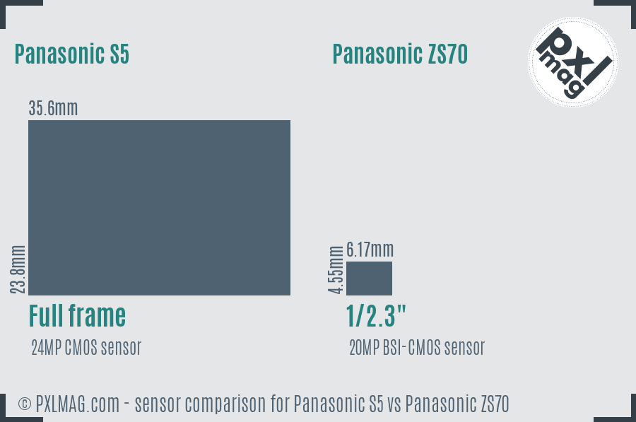 Panasonic S5 vs Panasonic ZS70 sensor size comparison