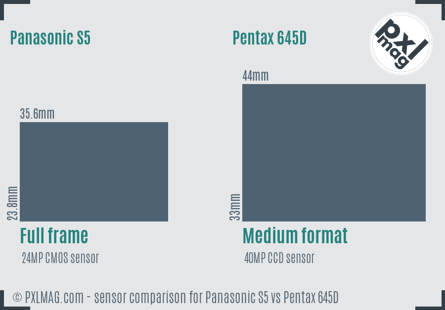 Panasonic S5 vs Pentax 645D sensor size comparison
