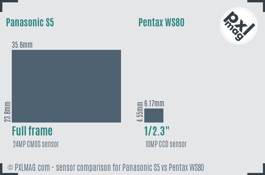 Panasonic S5 vs Pentax WS80 sensor size comparison