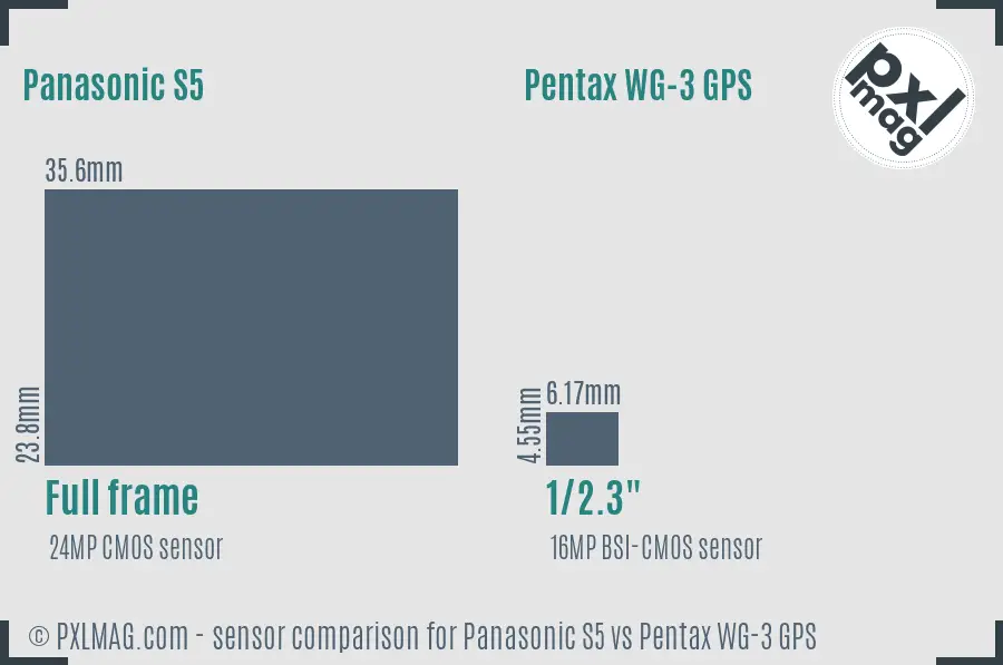 Panasonic S5 vs Pentax WG-3 GPS sensor size comparison