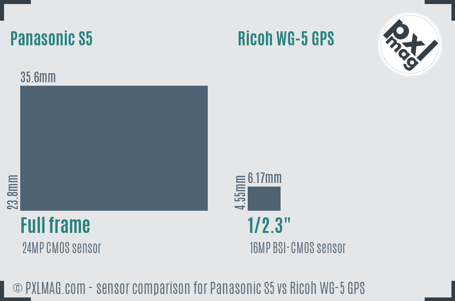 Panasonic S5 vs Ricoh WG-5 GPS sensor size comparison