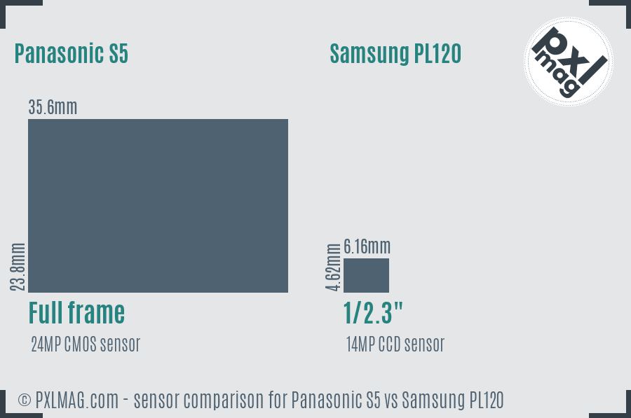 Panasonic S5 vs Samsung PL120 sensor size comparison