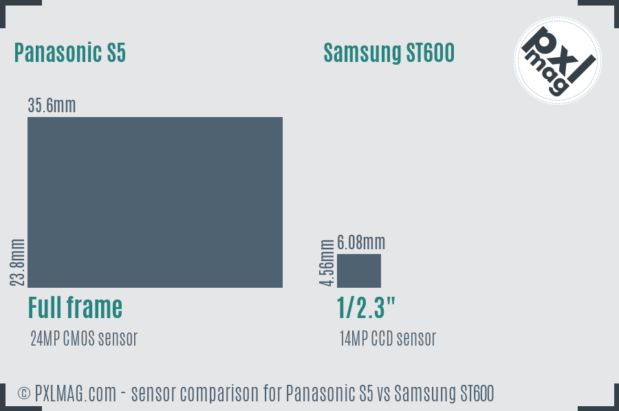 Panasonic S5 vs Samsung ST600 sensor size comparison