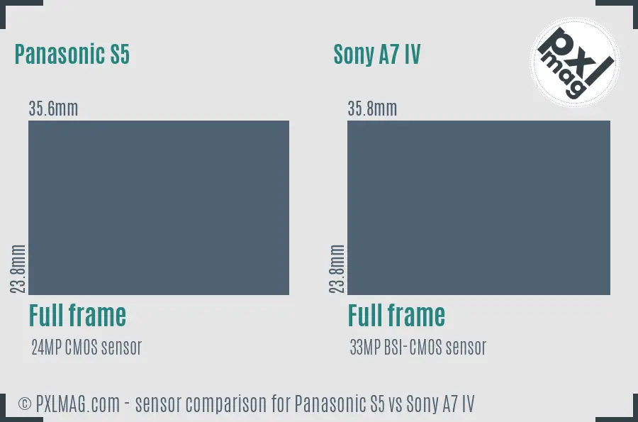 Panasonic S5 vs Sony A7 IV sensor size comparison