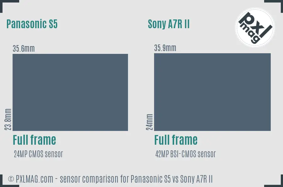 Panasonic S5 vs Sony A7R II sensor size comparison