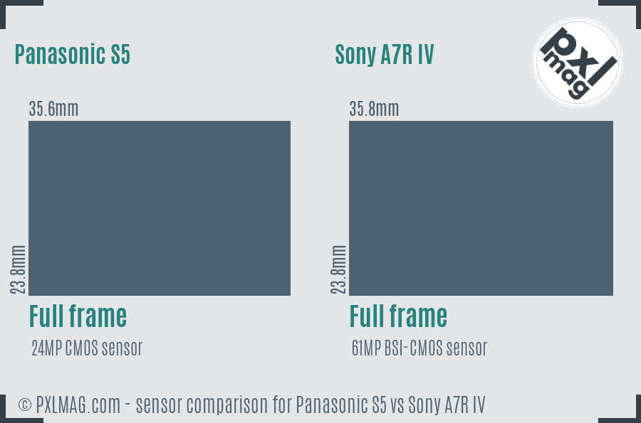 Panasonic S5 vs Sony A7R IV sensor size comparison