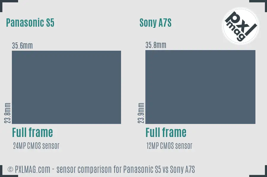 Panasonic S5 vs Sony A7S sensor size comparison