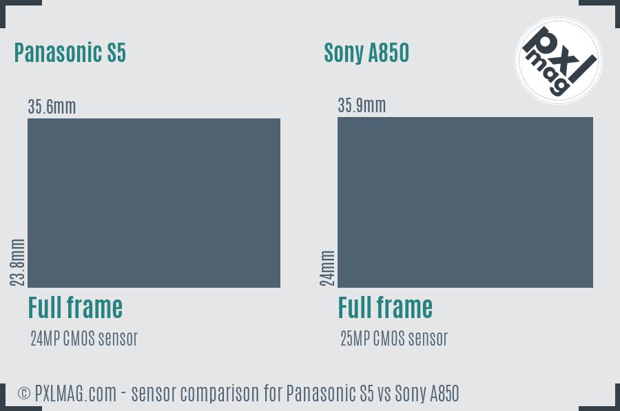 Panasonic S5 vs Sony A850 sensor size comparison