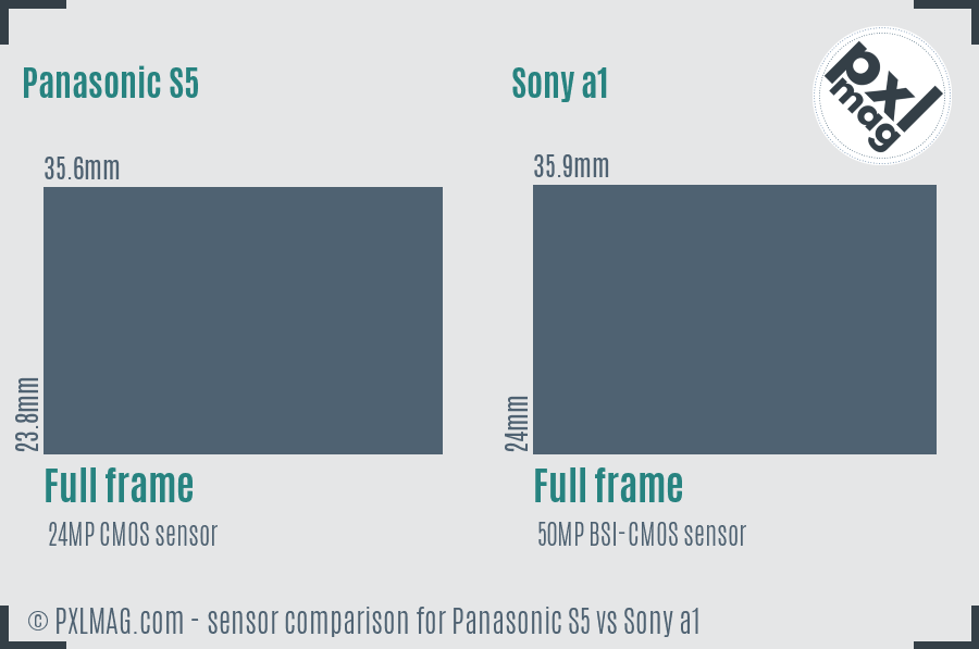 Panasonic S5 vs Sony a1 sensor size comparison